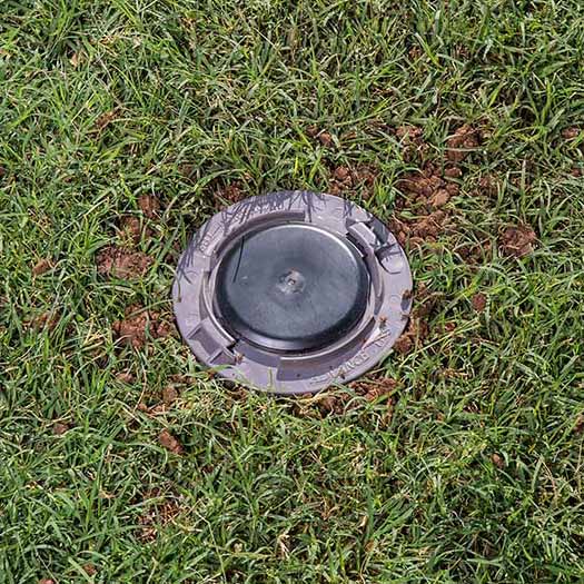 Bait-Station-in-Lawn