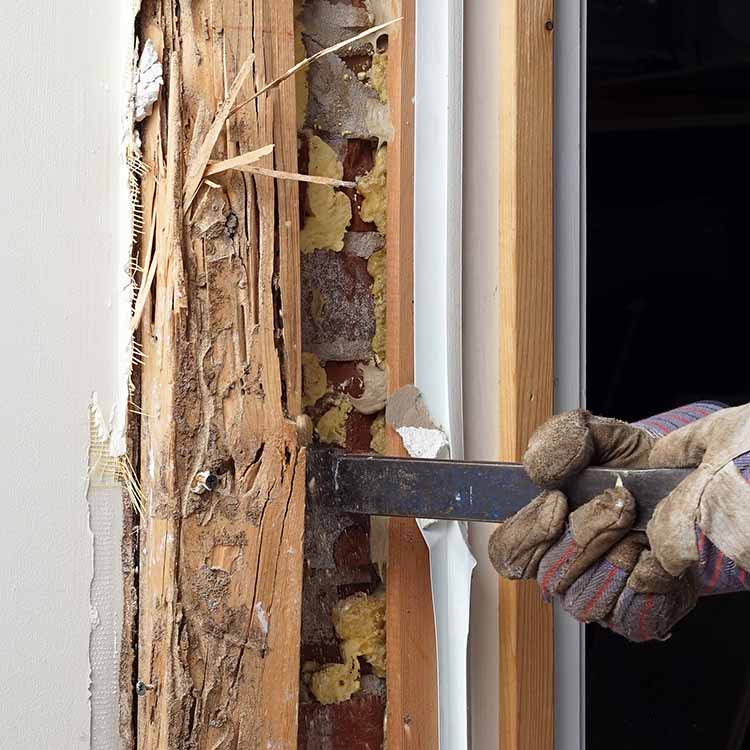 Termite Damage Being Repaired